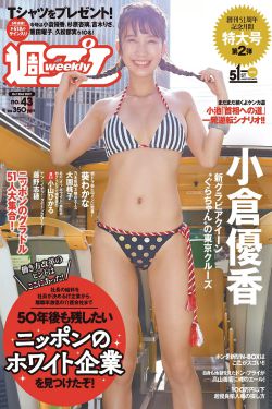 流光引在线观看电视剧全集